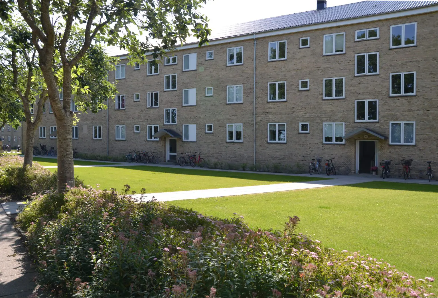 90101 Fruehøj afd. portræt