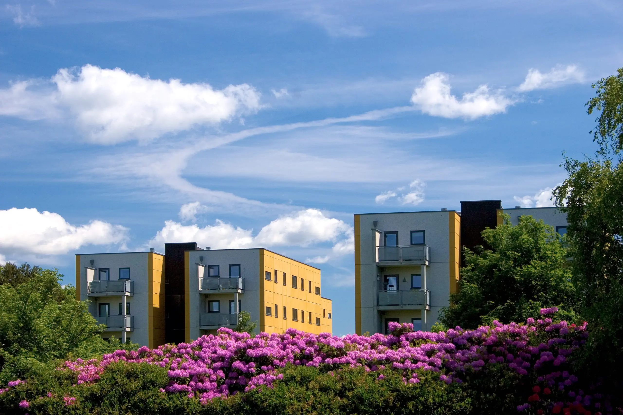 Billeder Af Alle Afdelinger Lasse Hyldager 120