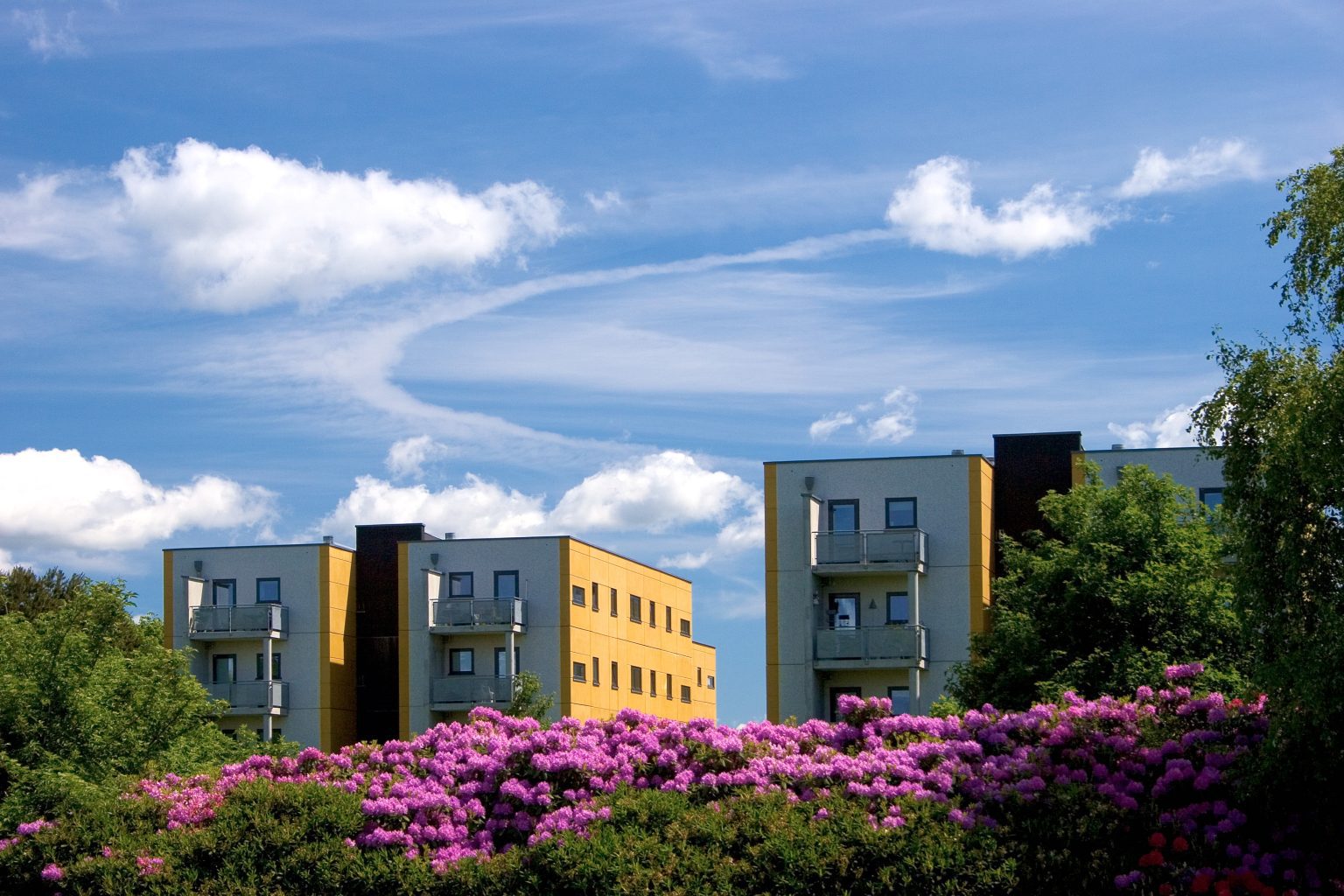 Billeder Af Alle Afdelinger Lasse Hyldager 120