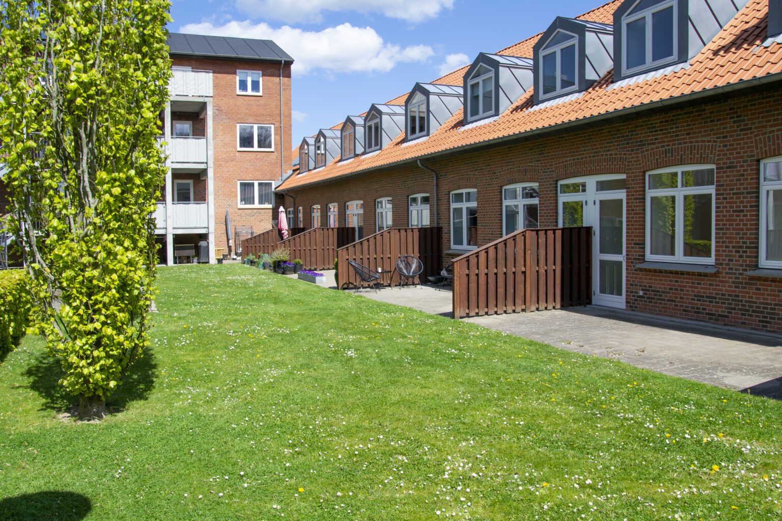 terasser og natur græs