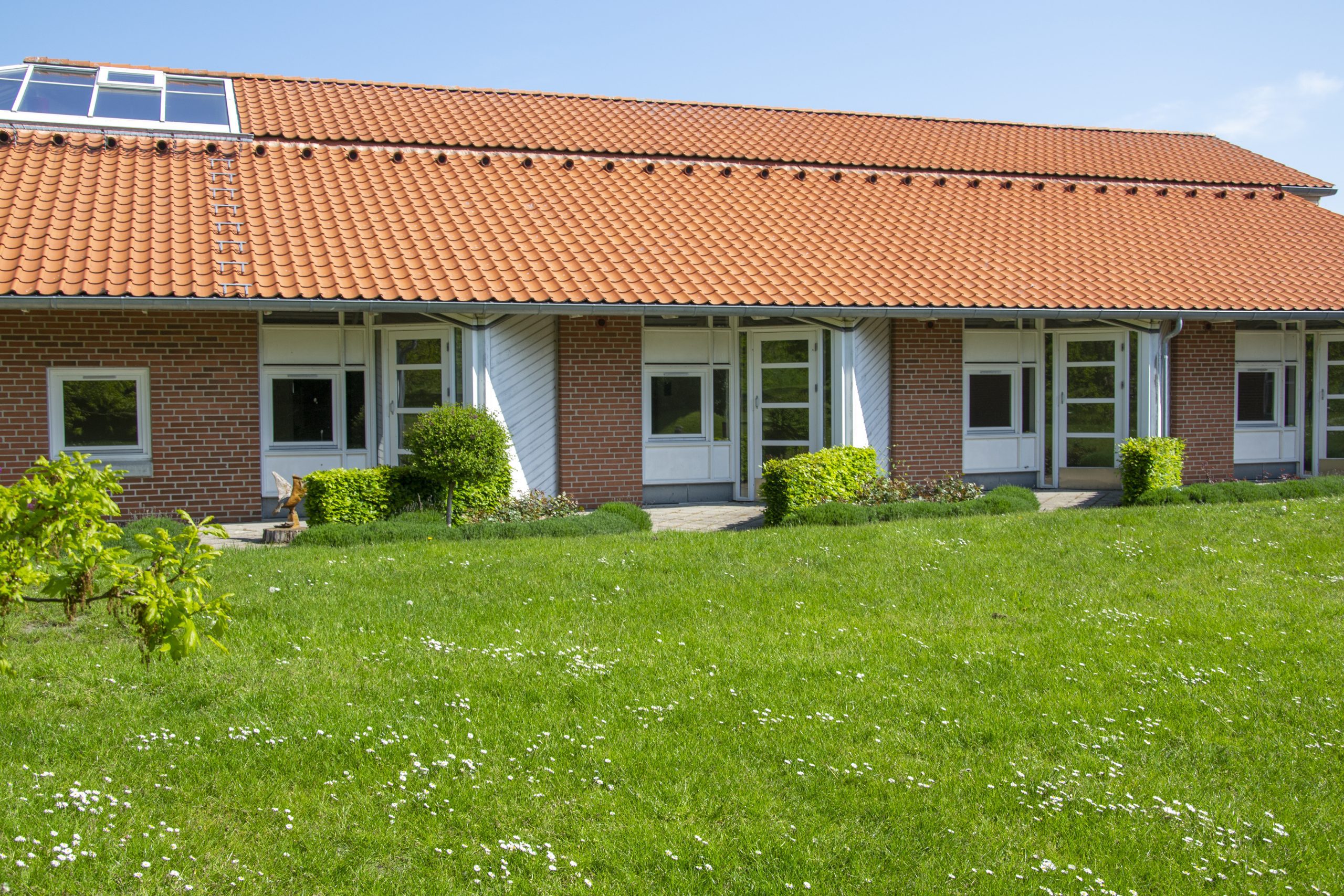 Frisenborg Red 2